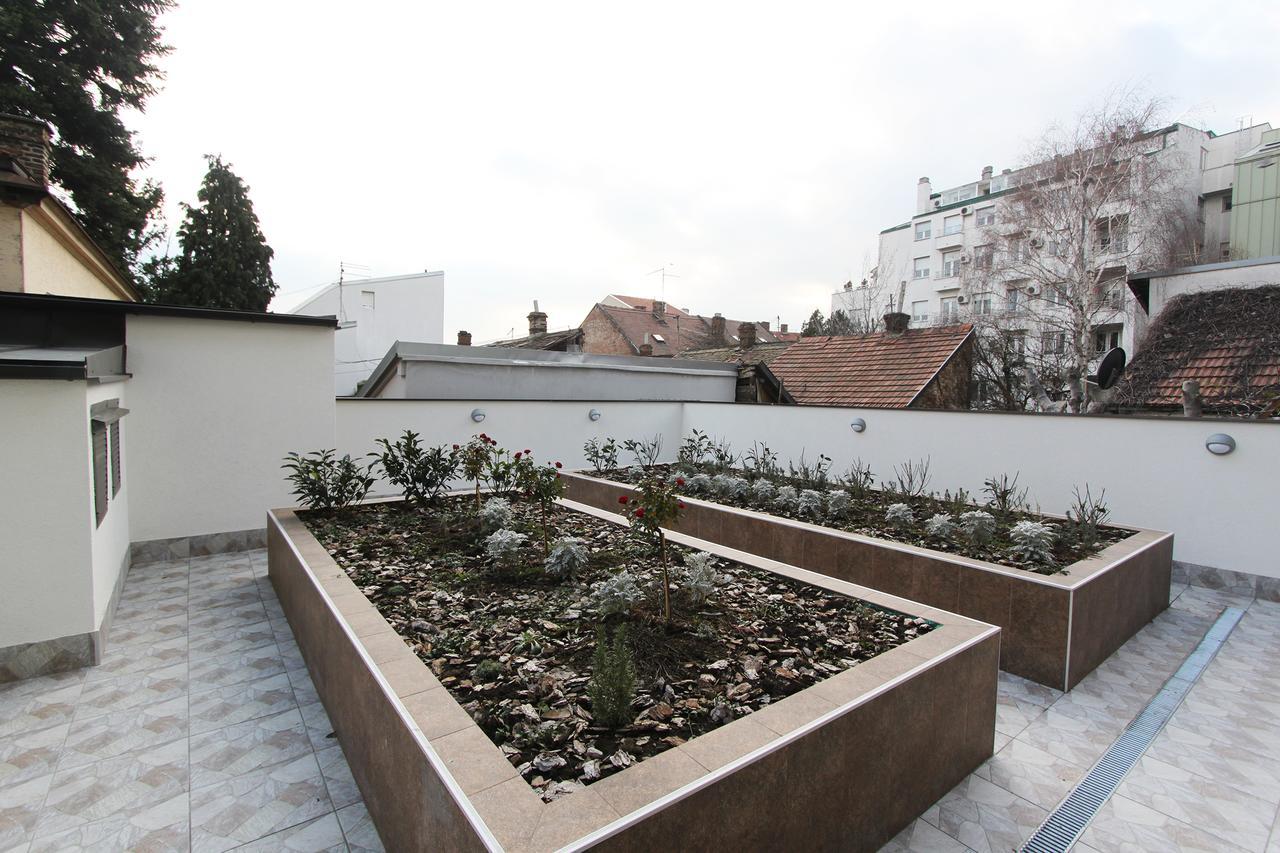 Apartment Joy Belgrad Dış mekan fotoğraf